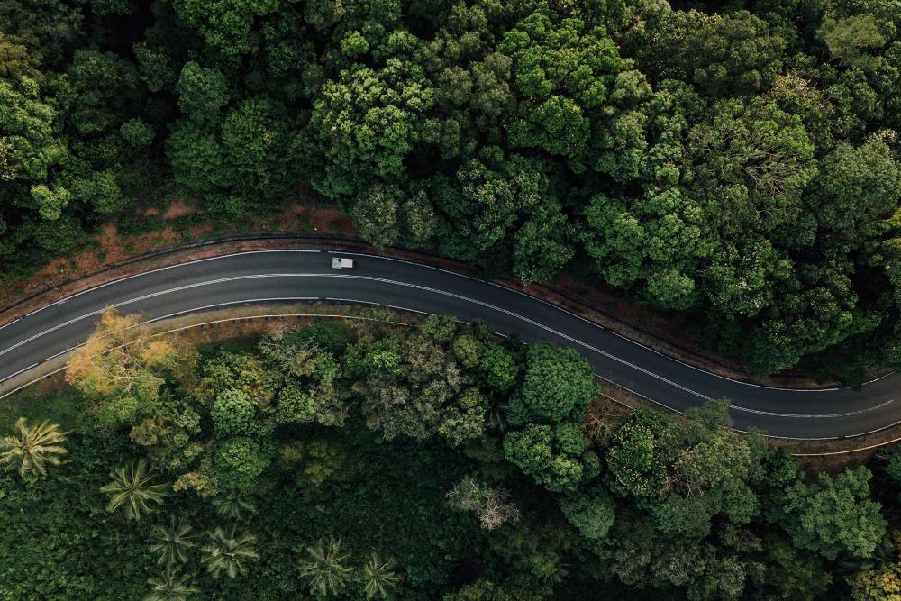 O imagine aeriană a unui vehicul electric Ford condus pe o șosea mărginită de pădure.
